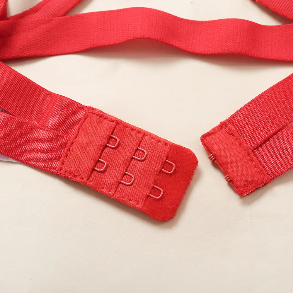 Ellolace Lingerie Set Women's Underwear Set Push up Hollow Out Bra Set Transparent Bralette Erotic Lingerie Female Underwear Set